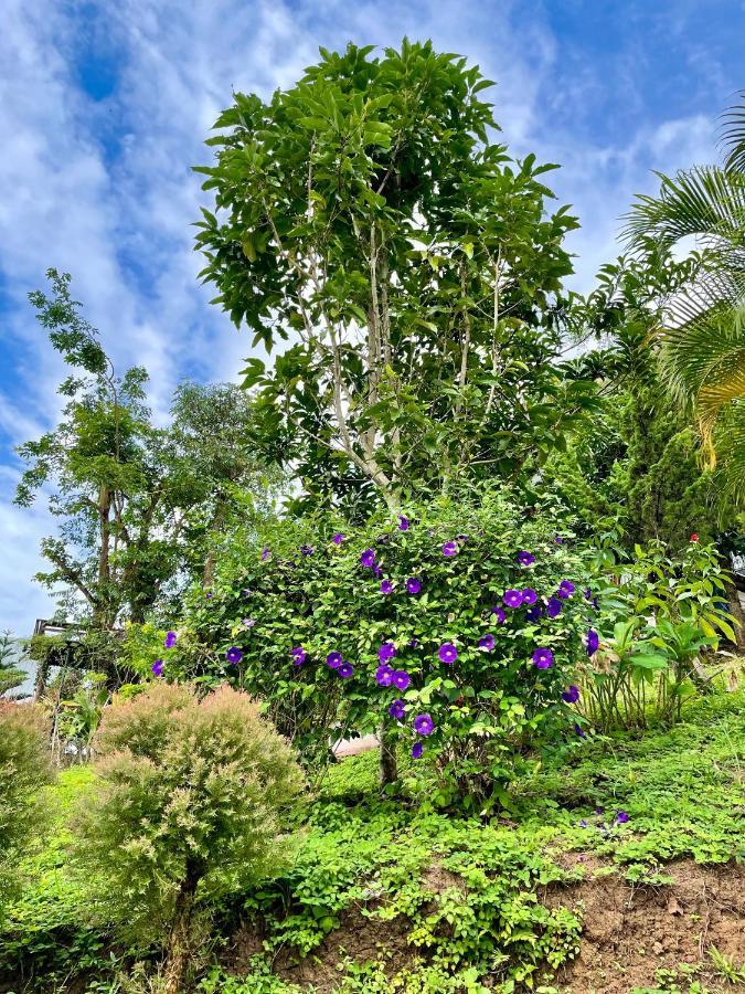 Villa Tip House à Khao Kho Extérieur photo
